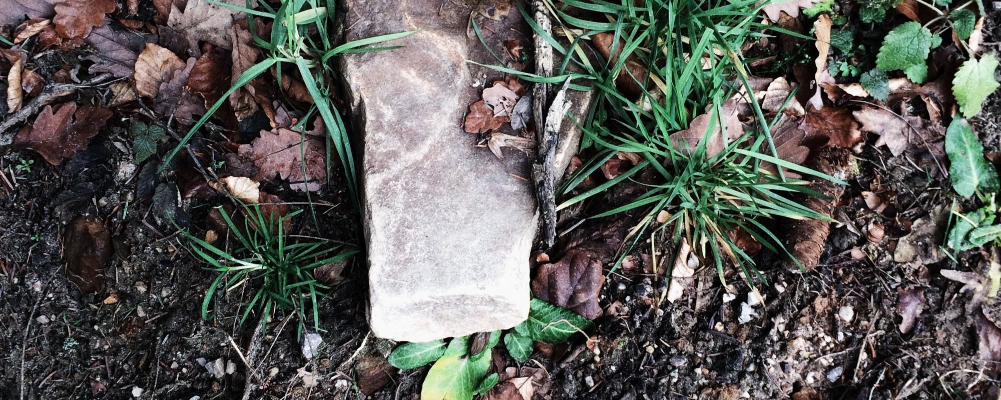 Cras at libero vitae ipsum